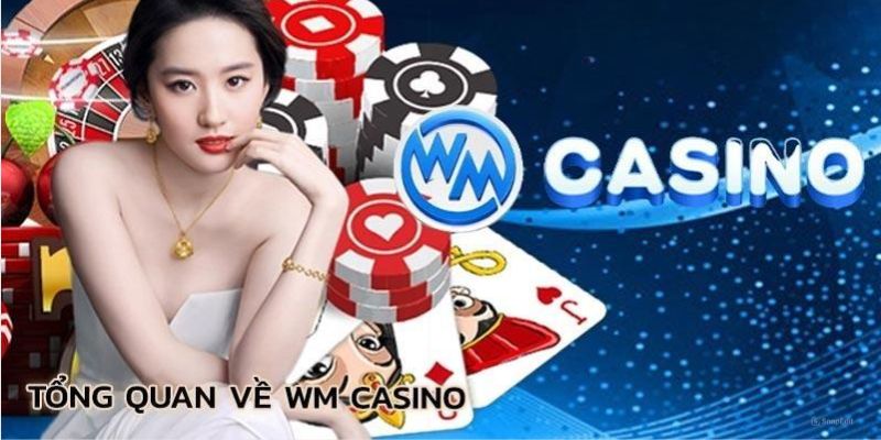 Điểm nhấn ấn tượng về sảnh WM Casino trên hệ thống