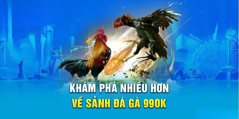 Đá gà 99OK đỉnh cao dành cho kê thủ